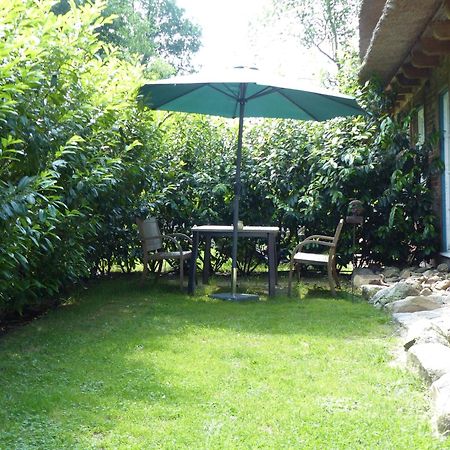 Ferienwohnung Sonnenschein Walsrode Zewnętrze zdjęcie
